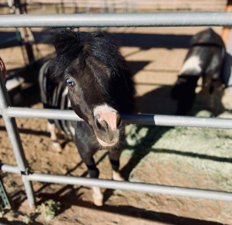 Rustic Farm Stay Temecula Luaran gambar