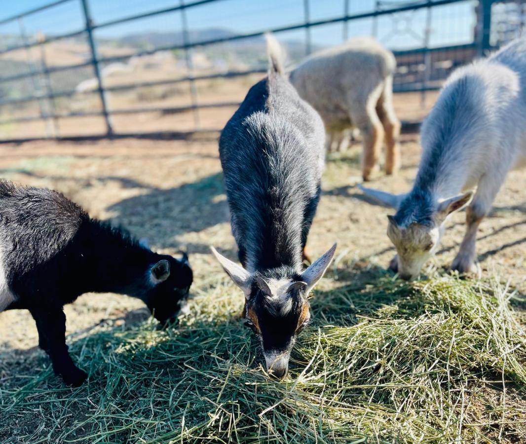 Rustic Farm Stay Temecula Luaran gambar